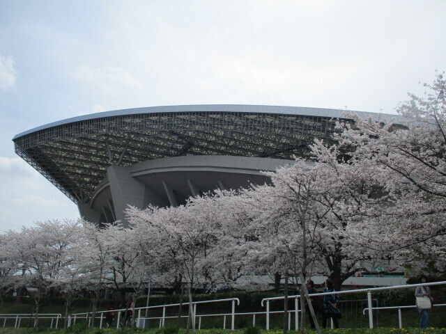 sakurastajium2024.JPG